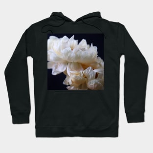 Whipped Cream Hoodie